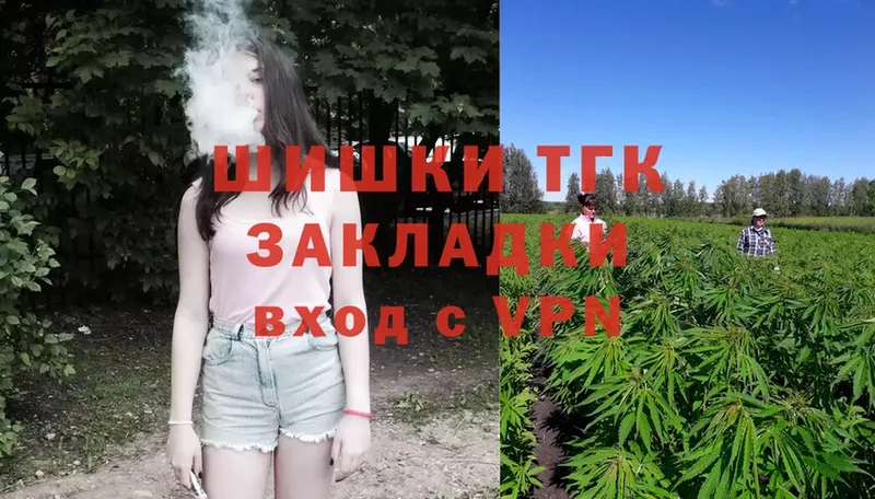 цена   Электроугли  Бошки марихуана сатива 